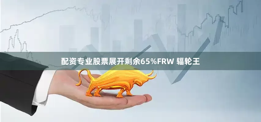 配资专业股票展开剩余65%FRW 辐轮王